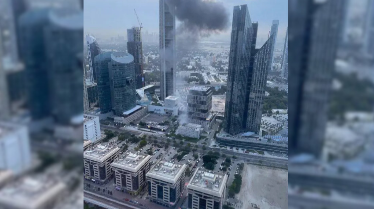 para fotos de la web (79)