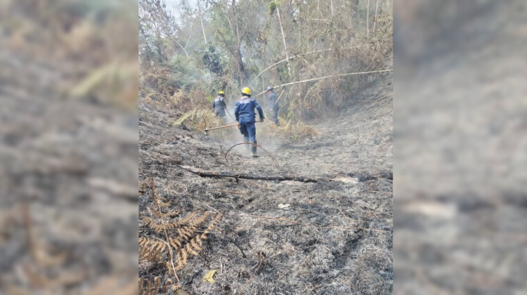 para fotos de la web (87)