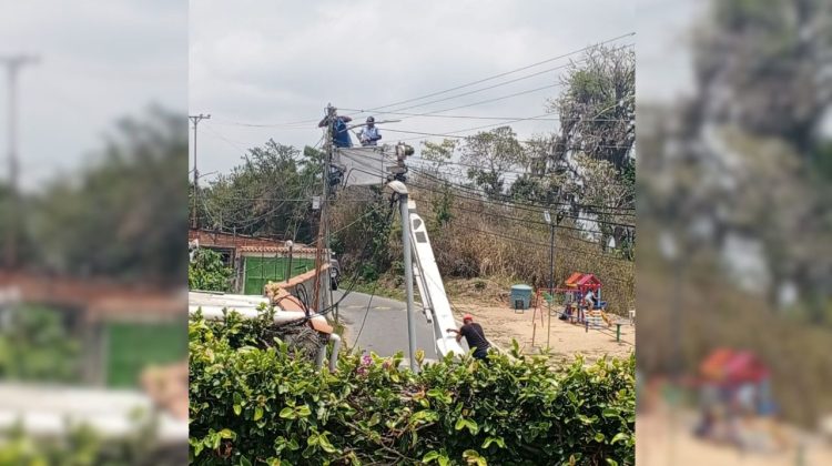 para fotos de la web (93)