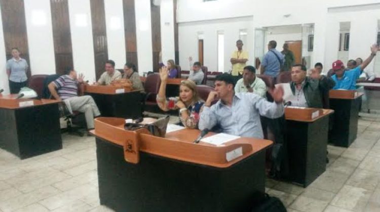 parlamentarios 1
