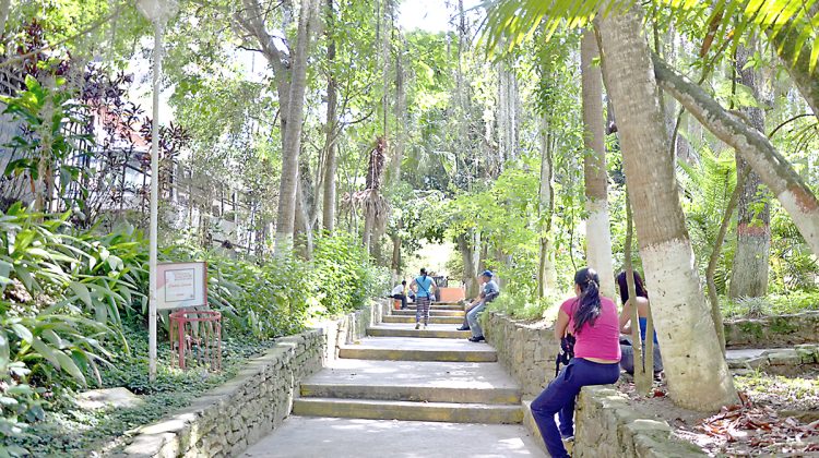 parque los coquitos 4