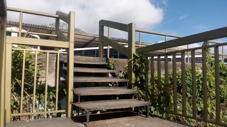 pasarela Los Lagos (1)