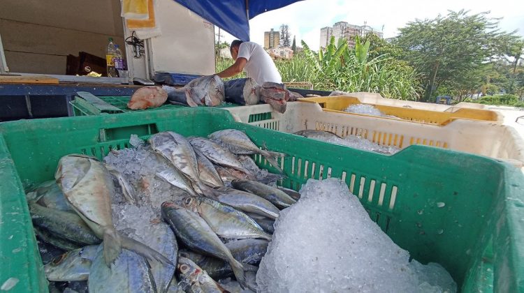 pescado