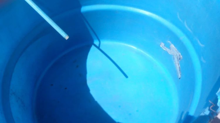 photo_4954238230865840958_y