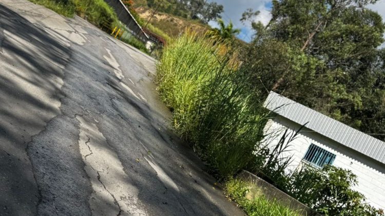 photo_4967730922165832518_y