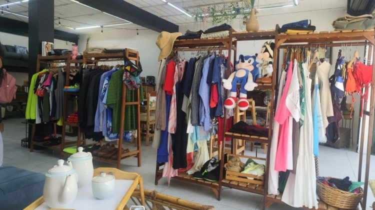 photo_5053089656257317902_y