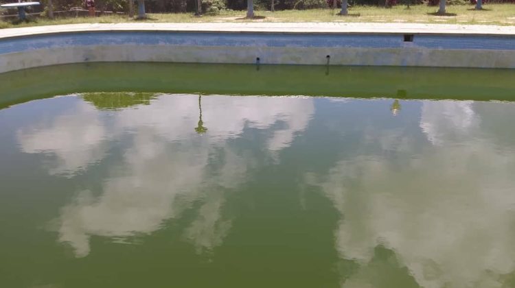 piscina con el agua verde