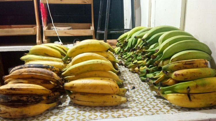 platanos-