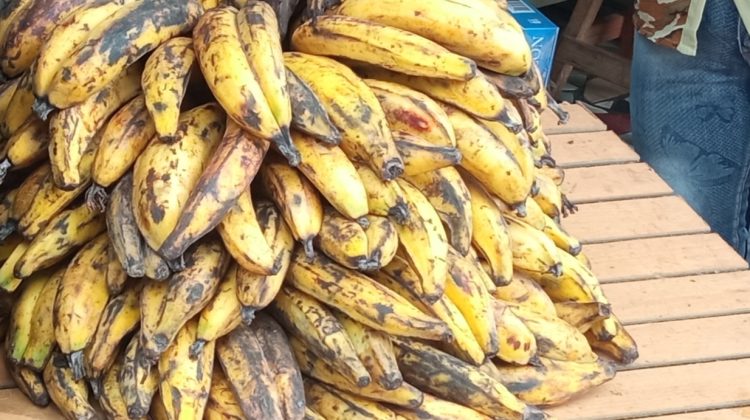 platanos