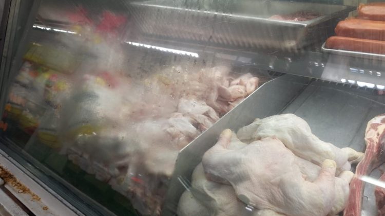 pollo