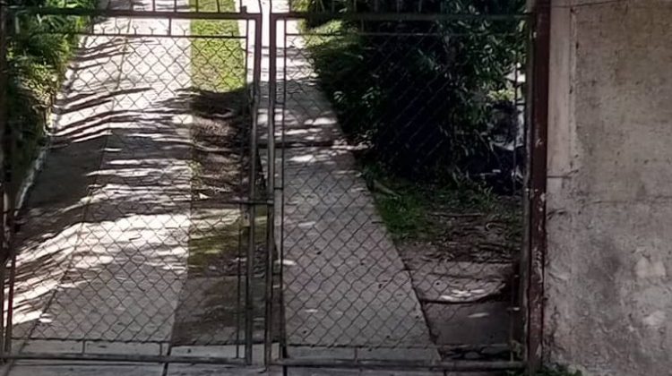 polo pitbull lagunetica quinta pomarrosa