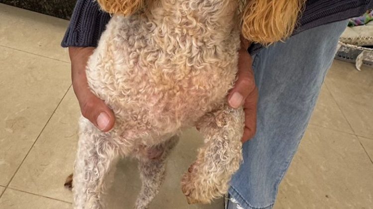 primera foto para la pagina web