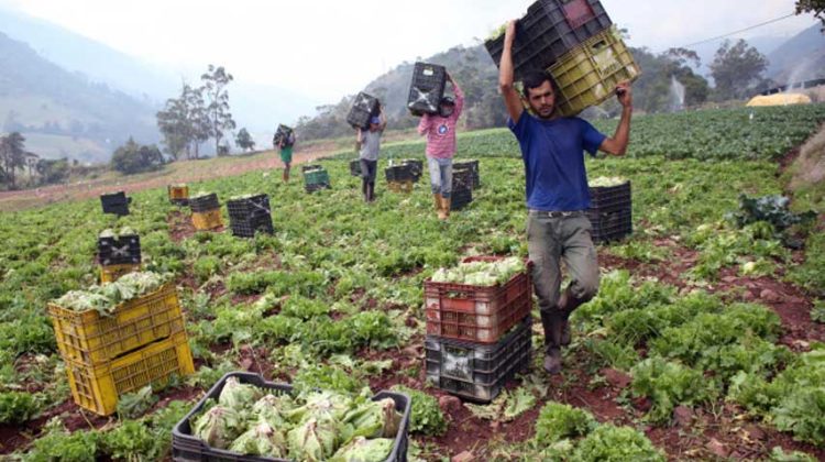 productores1-1