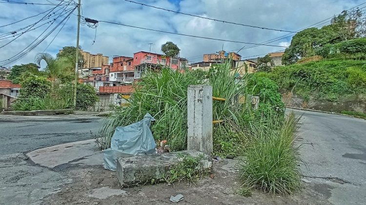 puente de la linea, luis maizo