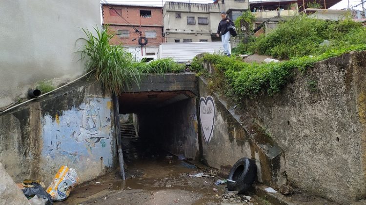 puente de la matica (1)