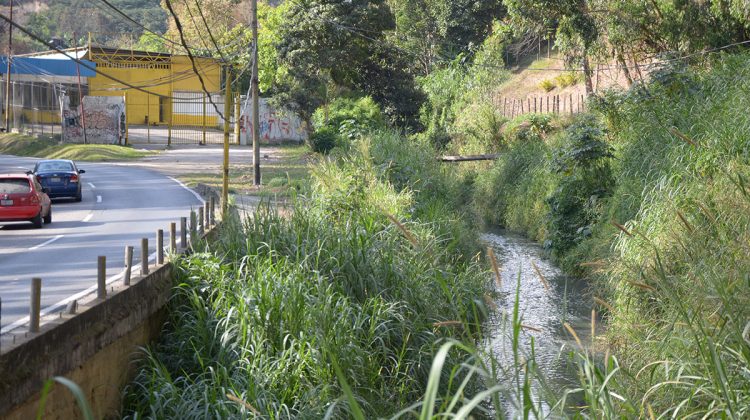 pwla veguita f1. METER ESTA PORFA