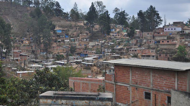 ramo verde