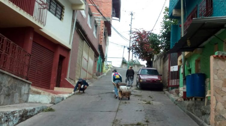 ramon vicente