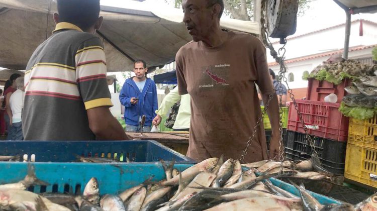 sardinas carrizal