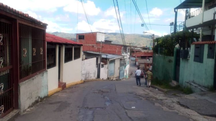 sectores