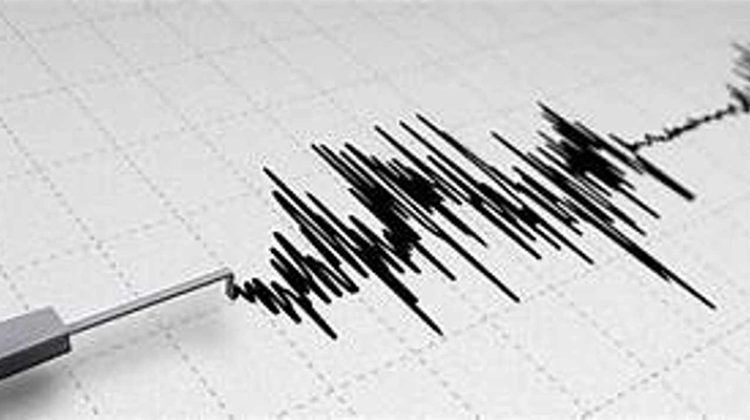 sismo-1
