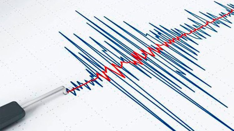 sismo19