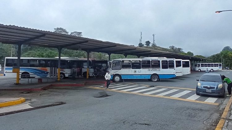 terminal de los teques, luis maizo.