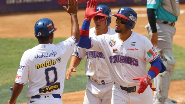 tiburones tiburones