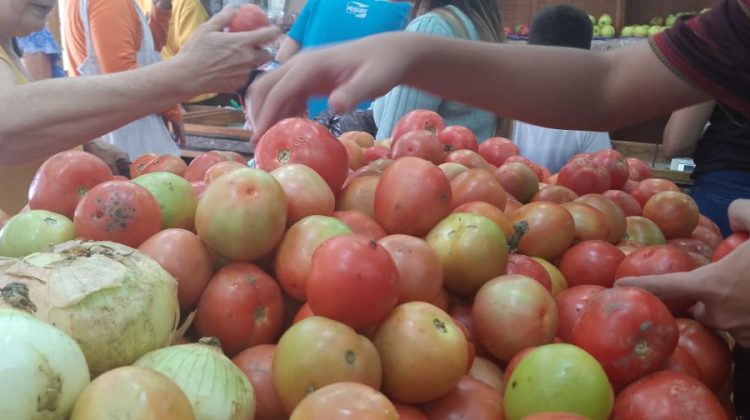 tomate y cebollas