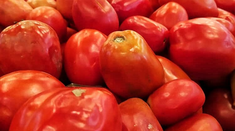 tomates-