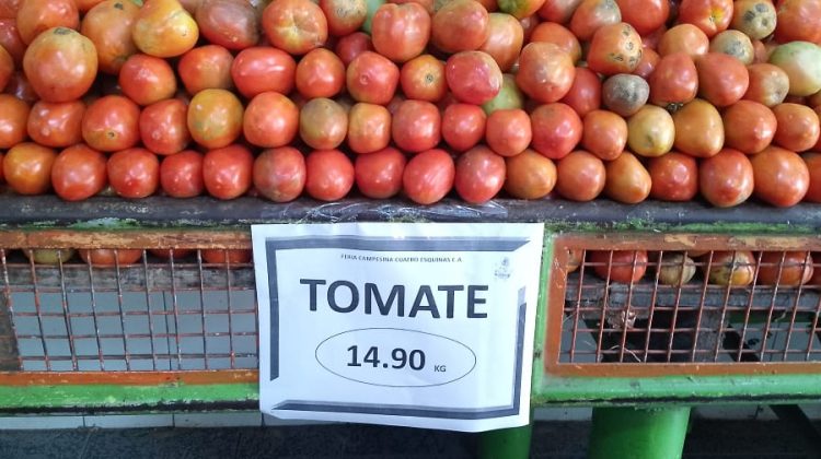 tomates baratos