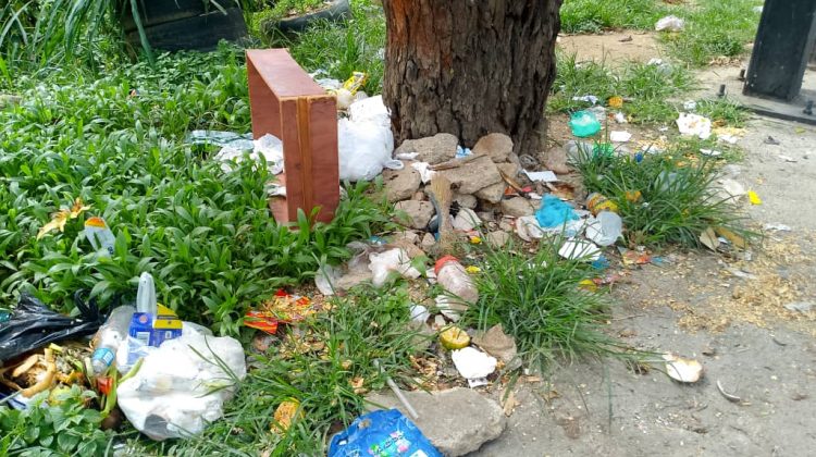 vertedero de basura ramo verde vertedero de basura ramo verde