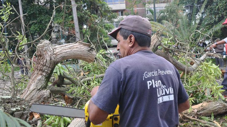 victor useche-arbol caido plaza guaicaipuro