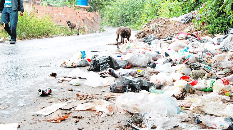 william sanchez basura en la matica