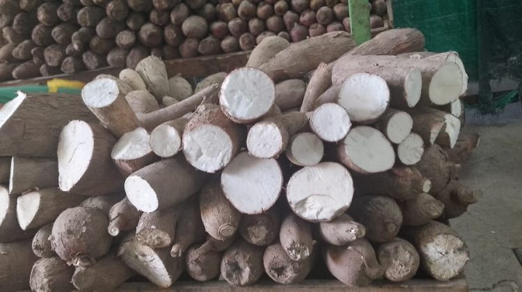 yucas